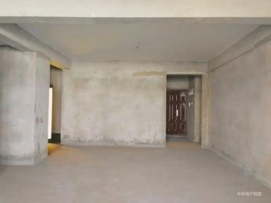 高新區(qū)六十五小/十三中藍調(diào)對面多層電梯 圖4